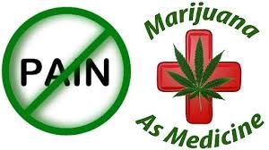 Post Surgical Pain – is Cannabis Effective?