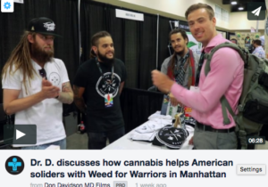 Weed for Warriors Interview